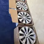 جنوط اكورد وكاله