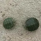 سلاحف