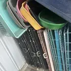 مستلزمات القطط للبيع الرياض