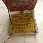 فقاستين نظيفه على سوم