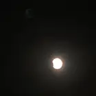 شاعر جزل لبيع القصايد