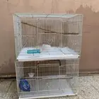 قفص601 العدد الثنين ونضاف للسوم