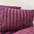 12 حبة مخدة و 2 مركا