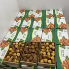 تمر سكري فاخر (رطب)