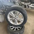 جنوط تورس 2013