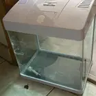 حوض سمك كبير