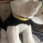 دبدوب كبير