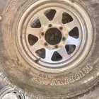جنوط سفاري