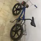 كاربوس