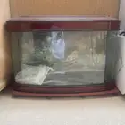 حوض اسماك للبيع