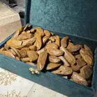عود موروكي   كلمنتان محسن