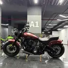 انديان شيف بوبر دارك هورس ايكون