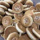 كليجا حائل الاصلية سادة ومعمول وفطيرة تفاح متوفر تمارا