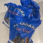 تربه قطط