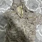 جكيت البريه