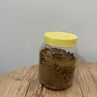 قشر قهوووة جنوووبي في الرأس