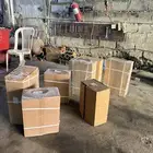 يايات نيسان فتك