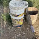 سطول حديد وبلاستيك
