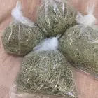 عشبه الشيح لعلاج الالتهابات والأمراض باذن الله