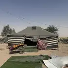 خيمة شعر 6 4 للبيع
