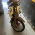 شبيه السبعين