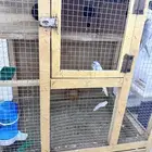 مطير بادجي 3 ازواج