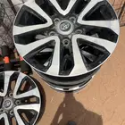 جنوط تورنق للبيع