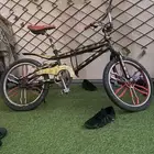 للبيع كوبرا. سوم