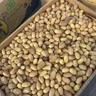 تمر قسب انتاج سنه 1447ه