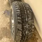جنوط فراشه