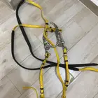 شكيمه سلسله حاره   لجام