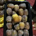 تمر مكتوم حبة كبير فاخر