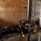 الطايف جليل محل تاجير معدات انشائه
