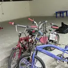 كوبرا ازرق كوبرا احمر رامبو دم غزال