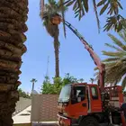 رافعة كرين سلة
