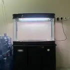 للبيع حوض سمك