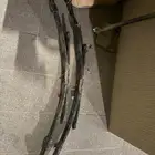 سست ( ريش ) سييرا وكالة 2025