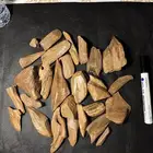 عود موروكي طبيعي للمناسبات كسر كبار