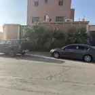 التيماء 2017