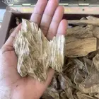 العود الأرياني الطبيعي