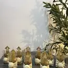 توزيعات (عطور)