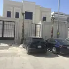 زراعه نخل واشنطونياء