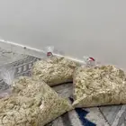 اكل ينفع لطيور