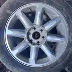 جنوط دينالي