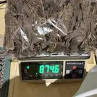 عود مني بور تربل سوبر