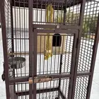 قفص ببغاء و الطيور