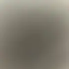 مطلوب ديك أبيض فحل بلدي