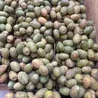 برشومي جملة وتفريد