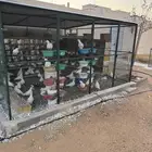 مشروع حمام فرنسي