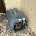 قطوة للبيع مع اغراضها